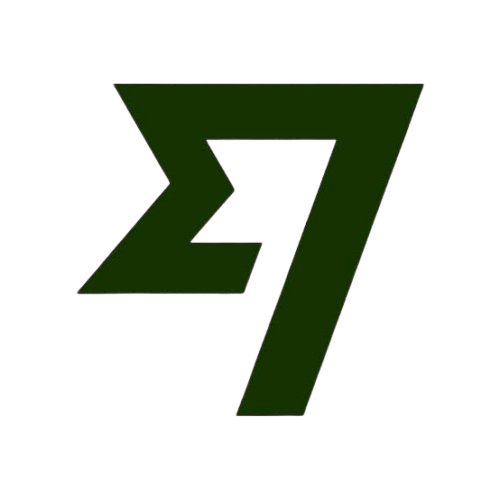 Logo Wise